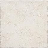 Megatrade Corp. Jerusalem 12 x 12 Bianco White Ceramic Tile
