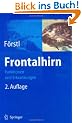 Frontalhirn: Funktionen und Erkrankungen