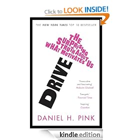 Drive: The Surprising Truth About What Motivates Us