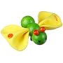 Plan Toy Caterpillar