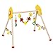Wooden Non-toxic Baby Gym with Insects and Flowers By Heimess