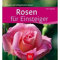 Rosen f�r Einsteiger: Robuste und pflegeleichte Sorten