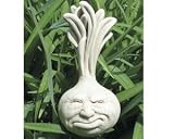 Ornery Onion Plaque