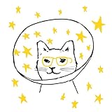 �X�^�[���u���C�V����