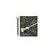 Lp(OGAWA CAMPAL) A~yO 3191