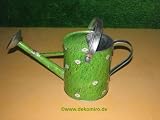 Metal Watering Can Daisy Design