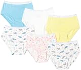 Fruit of the Loom