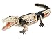 Revell X-Ray Crocodile Anatomy Models_s-1