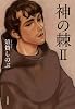 神の棘 2 (ハヤカワ・ミステリワールド)