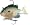 Sunfish