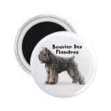 Bouvier des Flandres Refrigerator Magnet