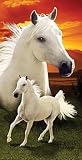 Review SB Designs  / WHITE HORSE Horses Bath or BEACH TOWEL New Gift!