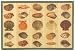 Laser Printed Split Bamboo Sea Shells Placemat 18