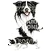 Border Collie Desk Set