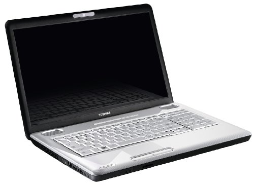 Toshiba Satellite L550D-11N 43,9 cm (17,3 Zoll) Notebook (AMD Athlon M300 2GHz, 4GB RAM, 320GB HDD, ATI HD 4570, DVD, Win 7 HP)