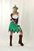 LADIES ADULT FANCY DRESS ROBIN HOOD COSTUME
