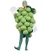 Green Grapes Adult Costume Adult (Standard One-Size)