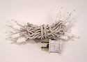 Christmas Holiday Clear String Light Set of 15 with White Wire