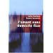 L'amant sans domicile fixe