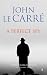 Books : Perfect Spy