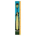 6 Foot Growth Chart "Growasaurase" by Sylvia Masek - 1.5"