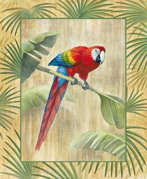 4 Macaw Art Prints Wild Parrot Poster Parrot Picture