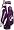 Washington Huskies