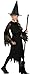 Halloween Concepts Child's Witch Costume with Flocked Velvet Spider Web Fabric, Large (12-14)