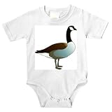 Onesie with vertebrate, Canada, migratory, "Canadian goose", goose, gas, animal, avian, waterfowl, bird