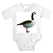 Onesie with vertebrate, Canada, migratory, "Canadian goose", goose, gas, animal, avian, waterfowl, bird