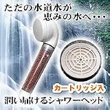 F・A・Cシャワーヘッド（脱塩素カートリッジ入） IO-128
