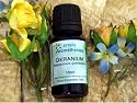 SA Geranium (Egyptian) Essential Oil 10ml