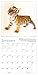 Endangered: Photo Ark 2016 Wall Calendar
