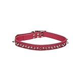UPC 800443095744 product image for Petco Pink Leather Spiked Dog Collar | upcitemdb.com