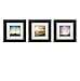 Tiny Mighty Frames 3-Set, Wood Square Instagram Photo Frame, 6x6 (5.5x5.5 Window), 4x4 Mat (3.75x3.75 Window), Hanging (3, Black)