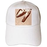 Kike Calvo Fossil and Dinosaur Photos – Yangchuanosaurus shangovensis from the Jurasic China – Caps