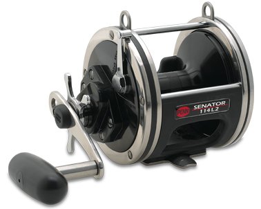 Penn Senator Reel (475-Yard, 50-Pound)