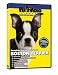 boston terrier - Boston Terrier DVD, Dog Guide DVD, Books, Pet Accessory, Home & Garden