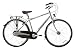 Raleigh Elan Alloy Mens 3 Speed Town / Comfort Bike. 18"...