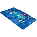 Care Bears Slumber Bag