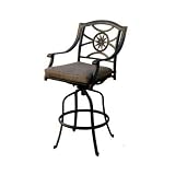 Darlee Ten Star Swivel Cast Aluminum Bar Stool With Cushion
