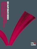 41iznMoQu1L. SL160  Exam Success: 2357 NVQ Diploma in Electrotechnical Technology