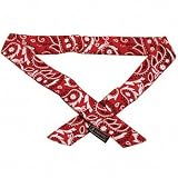 CRL Red Western Evaporative Cooling Bandana/Headband by CR Laurence