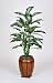 Artificial Dieffenbachia Floor Plant