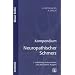 Kompendium Neuropathischer Schmerz - Ein praxisorientierter Leitfaden
