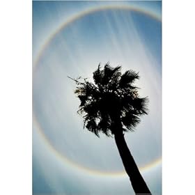 Photographic Print of Sun halo from Science Photo Library