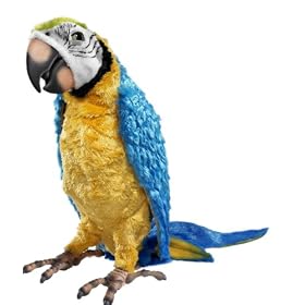 FurReal Friends Squawkers McCaw [Toy]