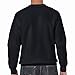 Diamond Supply Co. Men's Simplicity Brilliant Pullover Hoodie Black