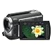 JVC 60GB Hard Drive Camcorder - Gray (GZMG360B)