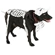 - Corpse Bride Pet Costume - S